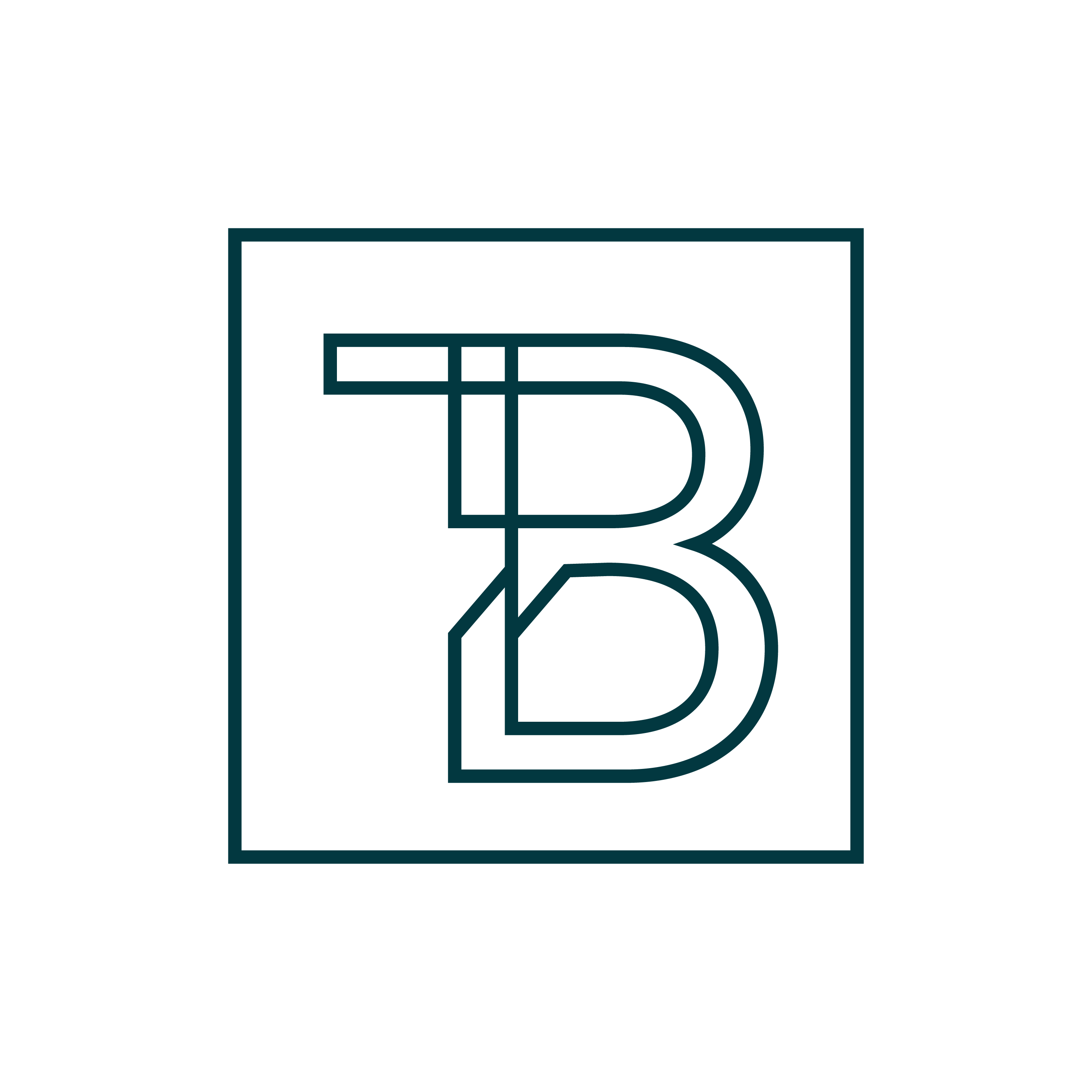 Trade Bridge Partners